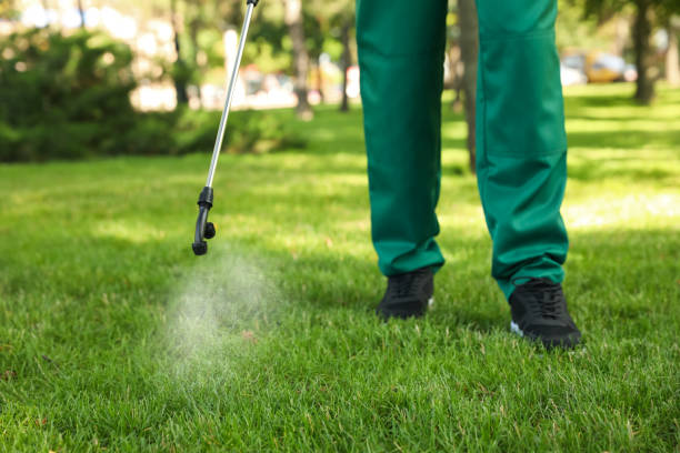 Best Mosquito Control Services  in Pea Ridge, FL