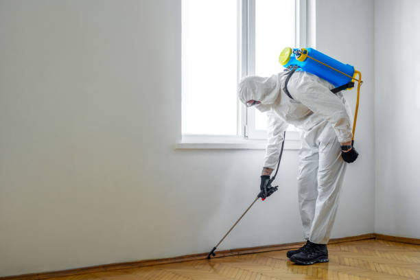 Best Pest Control for Businesses  in Pea Ridge, FL