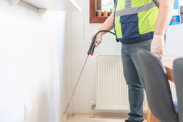 Best Wasp Removal Services  in Pea Ridge, FL