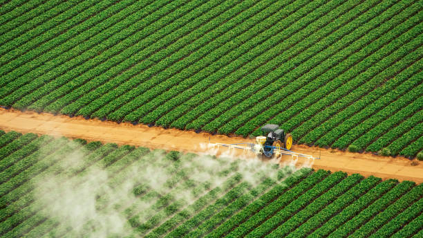 Best Commercial Pest Control Services  in Pea Ridge, FL