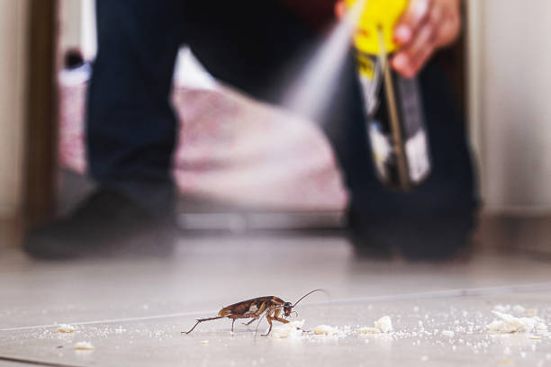 Best Emergency Pest Control  in Pea Ridge, FL