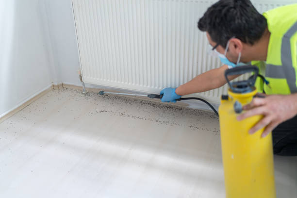 Best Residential Pest Control  in Pea Ridge, FL
