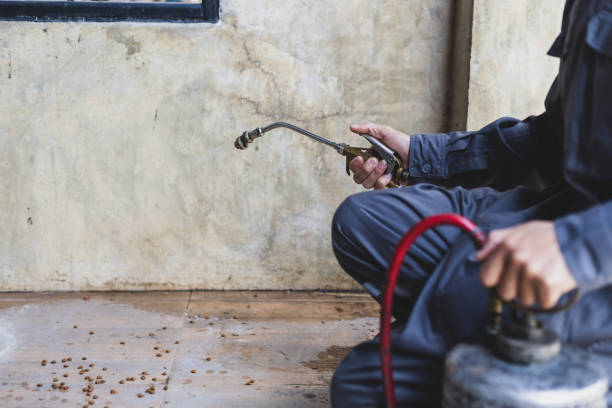 Pest Prevention Services in Pea Ridge, FL
