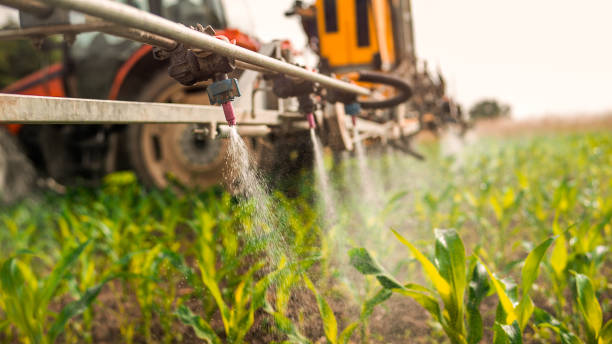 Best Local Pest Control Services  in Pea Ridge, FL